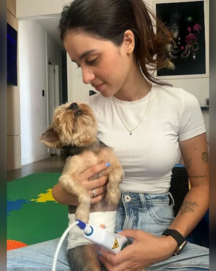 Dra. Mileni realizando atendimento em cão